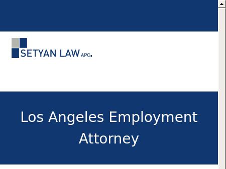 Employment Lawyers