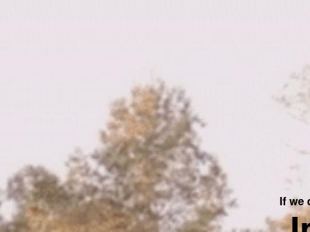 Michael Hostilo, Attorney at Law