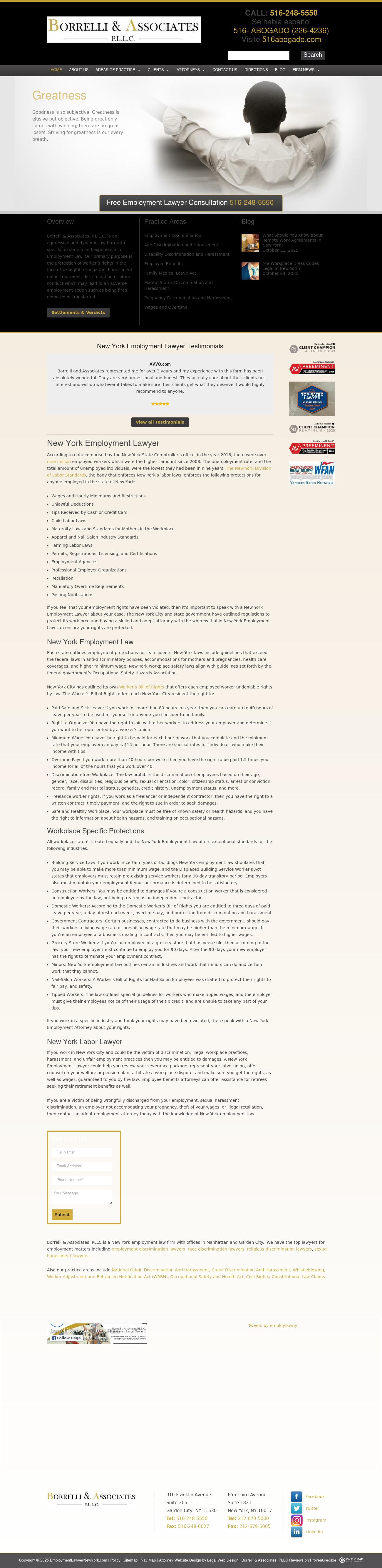 Borrelli & Associates, P.L.L.C. - Great Neck NY Lawyers