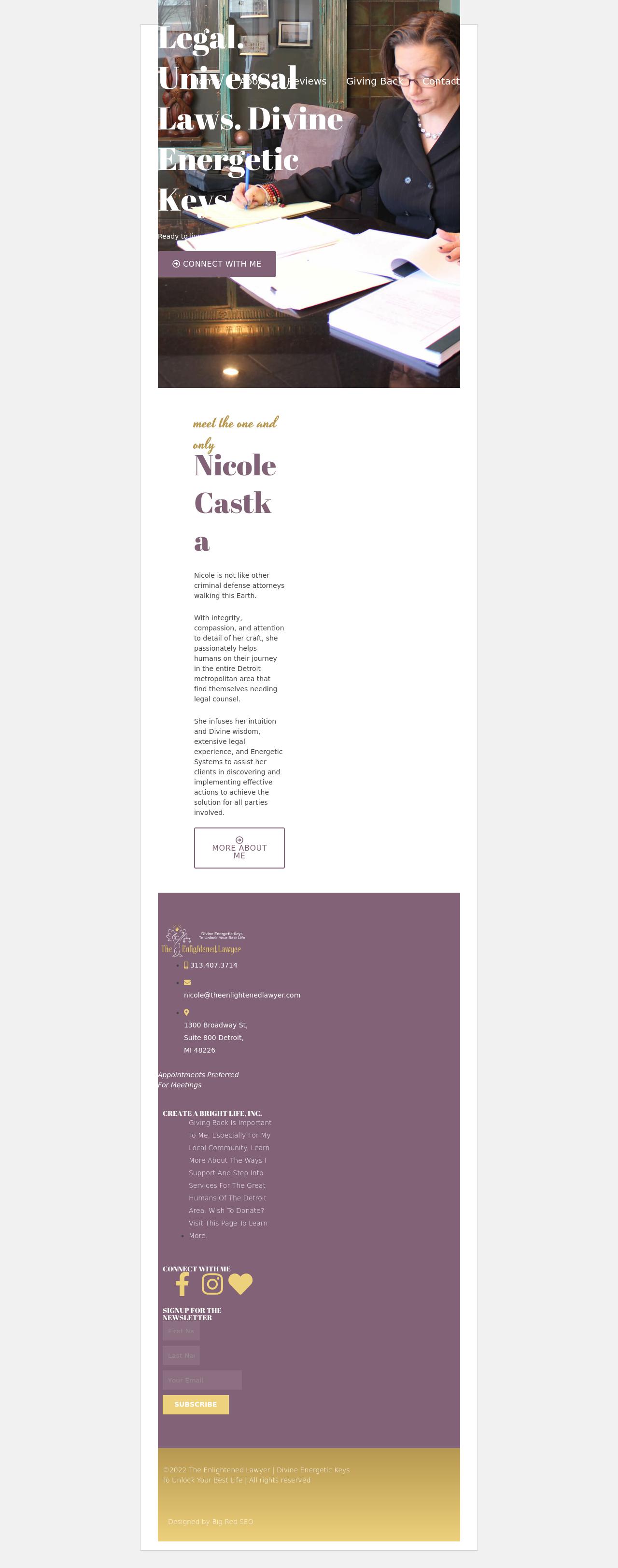 Law Office of Nicole L Castka PLLC - Detroit MI Lawyers