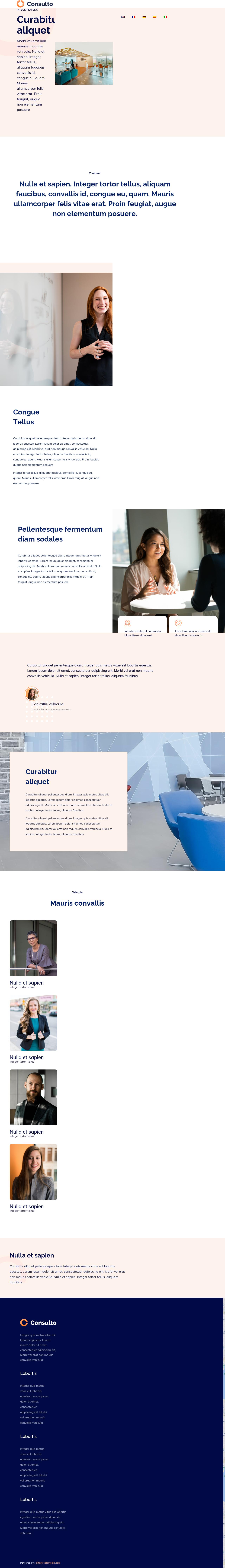 Louis J Willett Attorney At Law - Fremont CA Lawyers