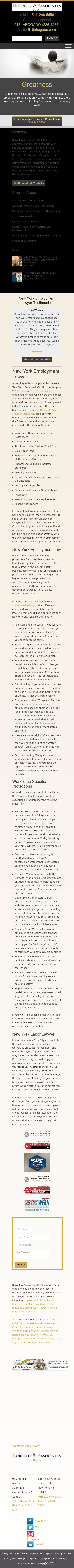 Borrelli & Associates, P.L.L.C. - Great Neck NY Lawyers