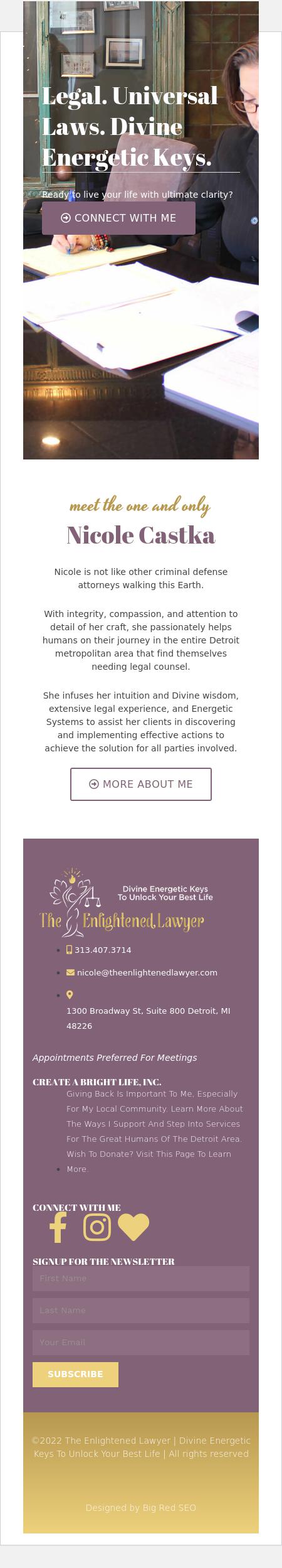 Law Office of Nicole L Castka PLLC - Detroit MI Lawyers