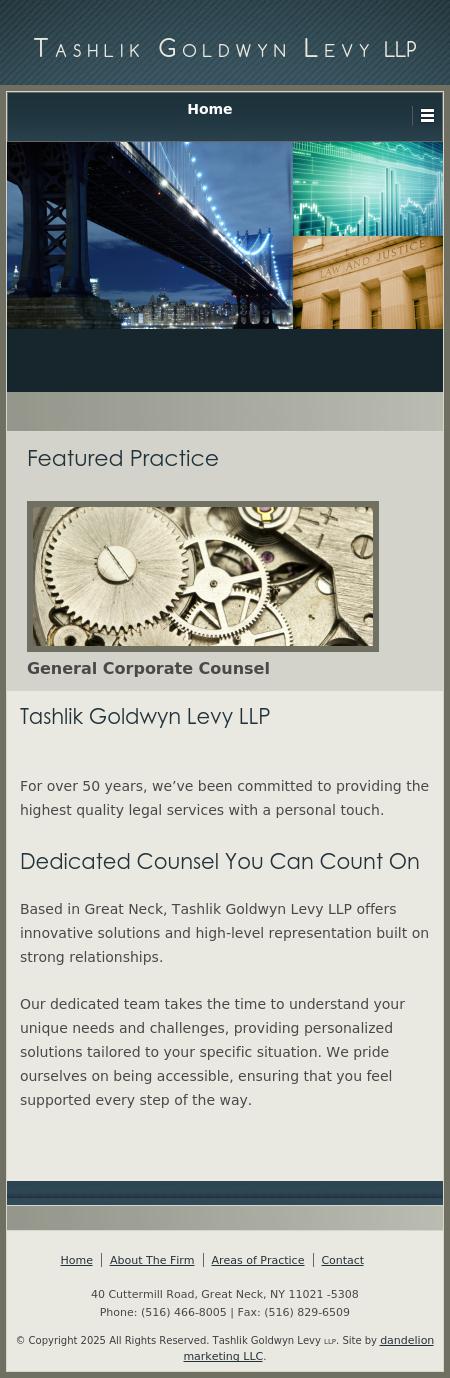 Tashlik Goldwyn Crandell Levy LLP - Great Neck NY Lawyers