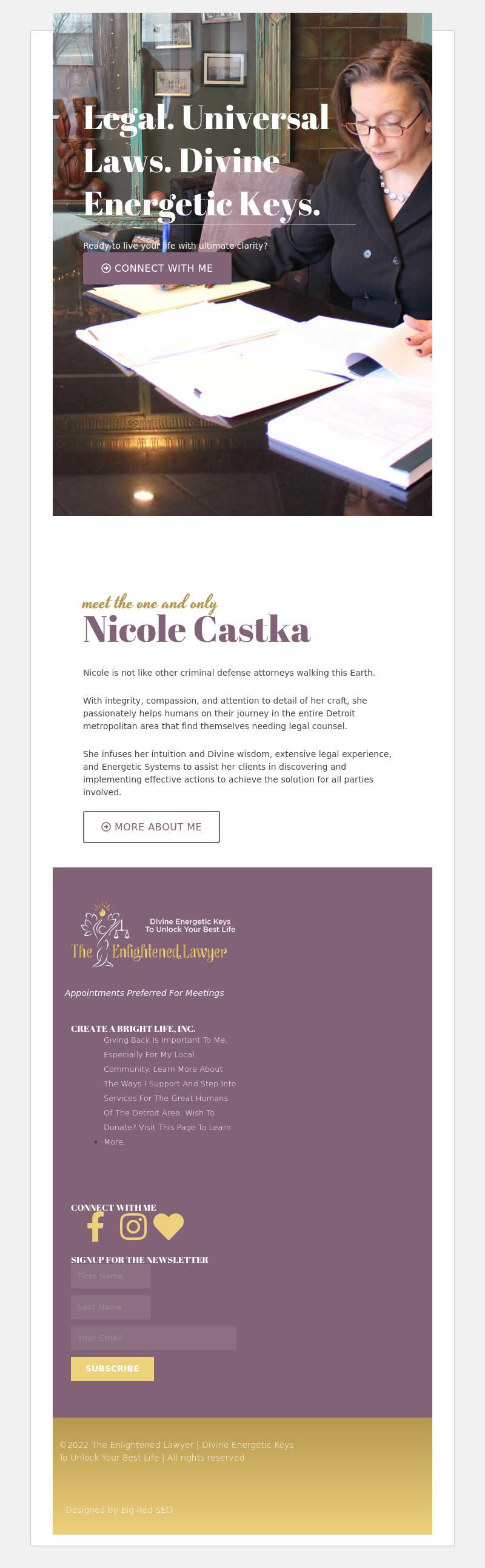 Law Office of Nicole L Castka PLLC - Detroit MI Lawyers