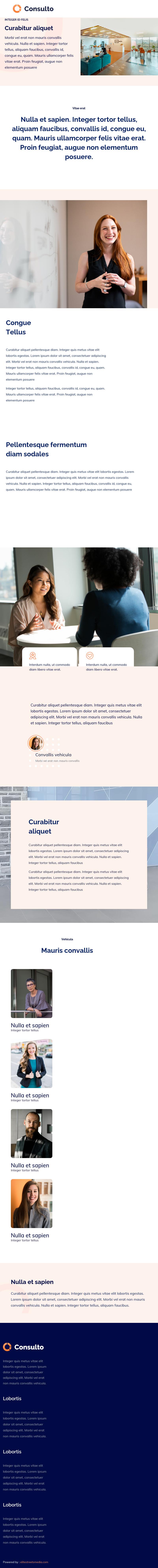 Louis J Willett Attorney At Law - Fremont CA Lawyers