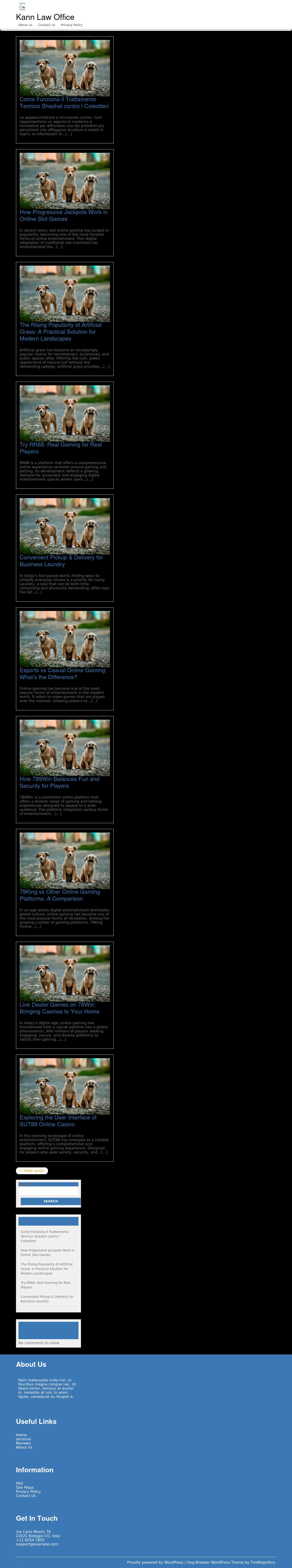 Terence J. Kann, P.A. - Gainesville FL Lawyers